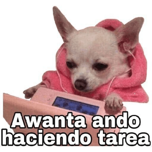 Arely xD😼🤙🏻 7