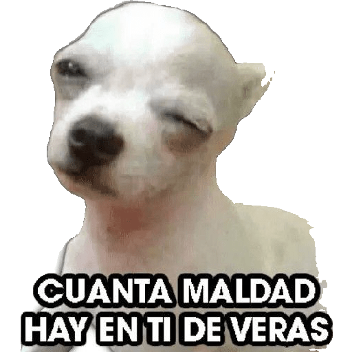 Arely xD😼🤙🏻 4