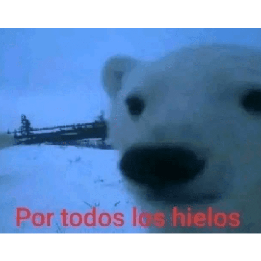 Aaaaáaaa 11