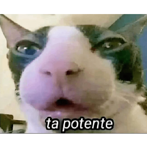 Aaaaáaaa 19