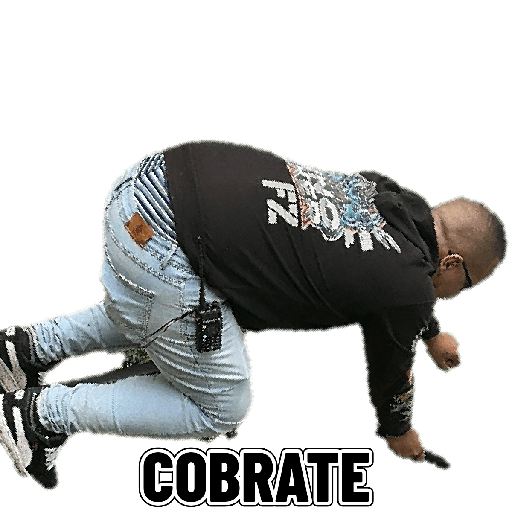 Papa 23