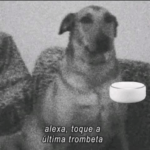 Loucura loucura