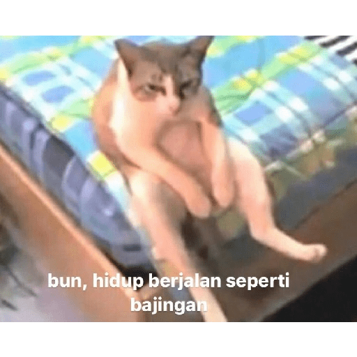 Random  15
