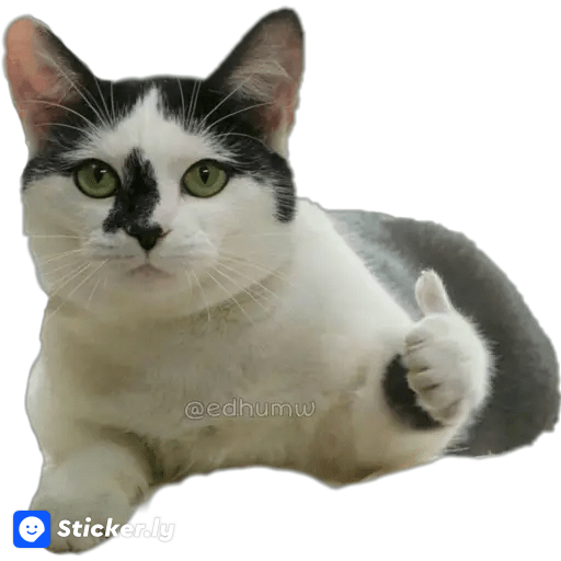 Sticker Image