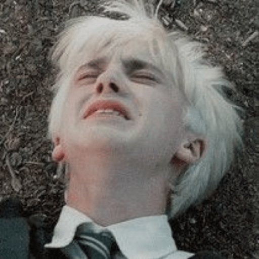 🍏◌್ Draco malfoy II ☄︎ 20