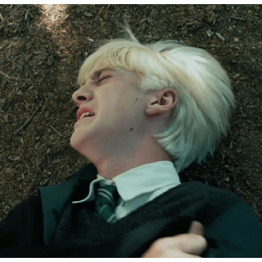 🍏◌್ Draco malfoy II ☄︎ 21