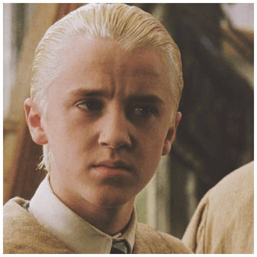 🍏◌್ Draco malfoy II ☄︎ 22