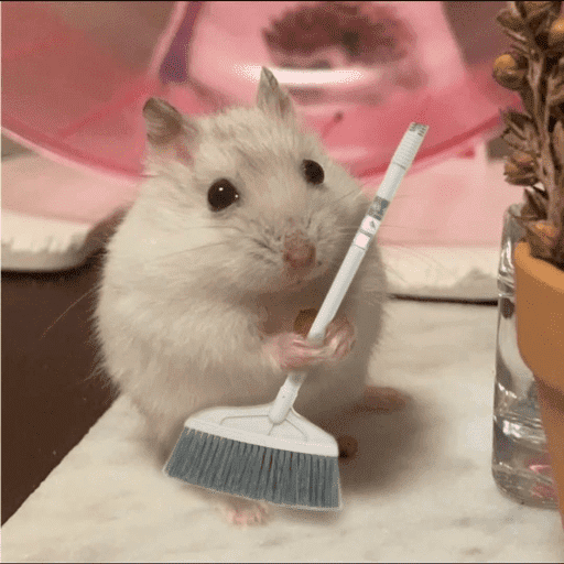 Hamster  5