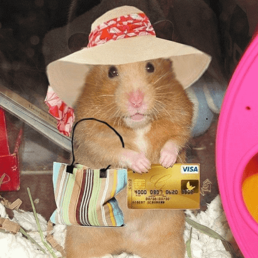 Hamster  12