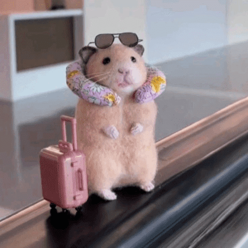 Hamster  14