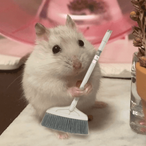Hamster  15