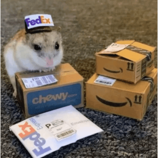 Hamster  11