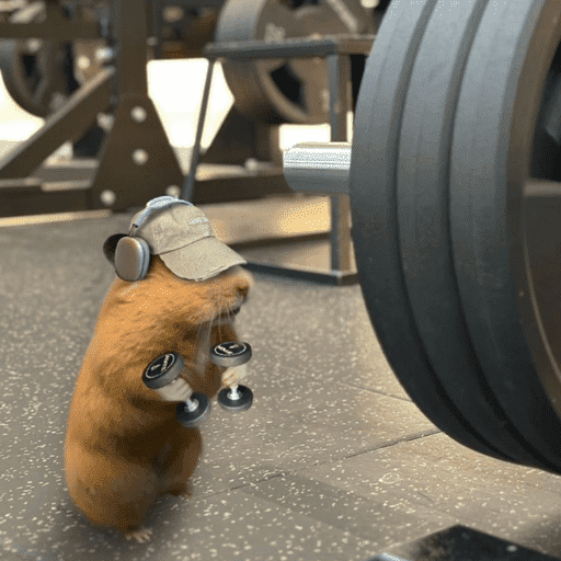 Hamster  10