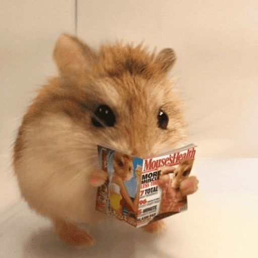 Hamster  7
