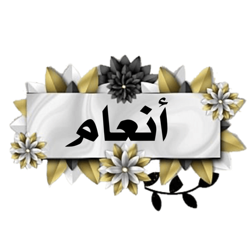 معلمة كنوز القرآن 10