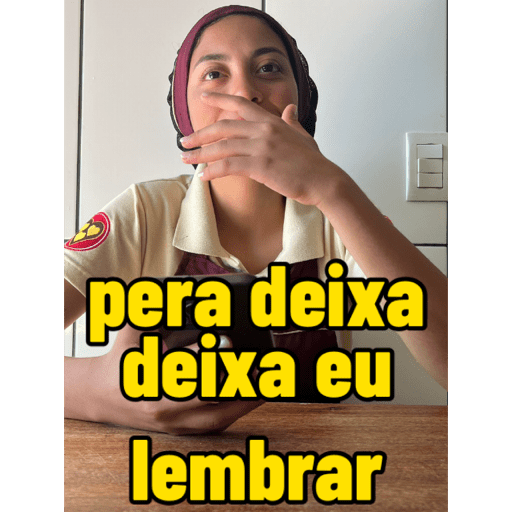 Minhas figurinhas 8