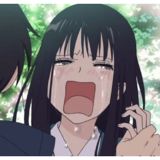 Kimi ni todoke i mas animes  14