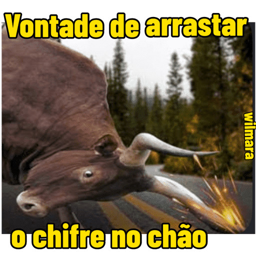 Corno/wilmara 1