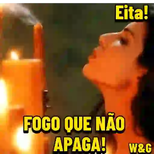Zoação 11
