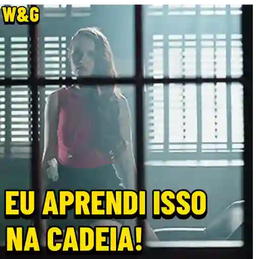 Zoação 13