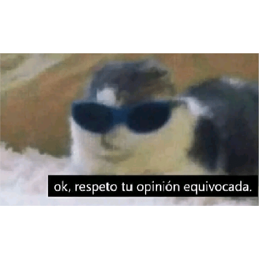 Algo mas 18