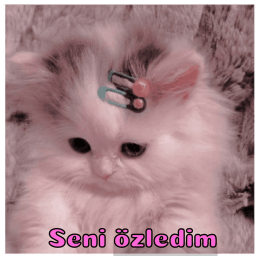 Çıkartmalarım
