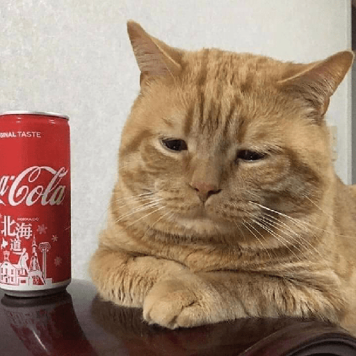 Os caralhos 24