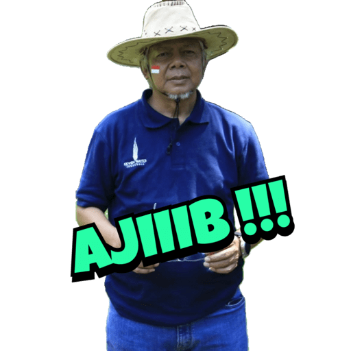 My stickers 24