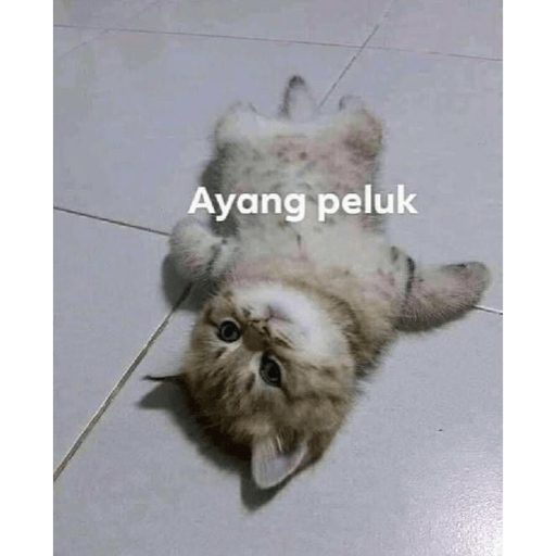 Meme anjing pt2 17