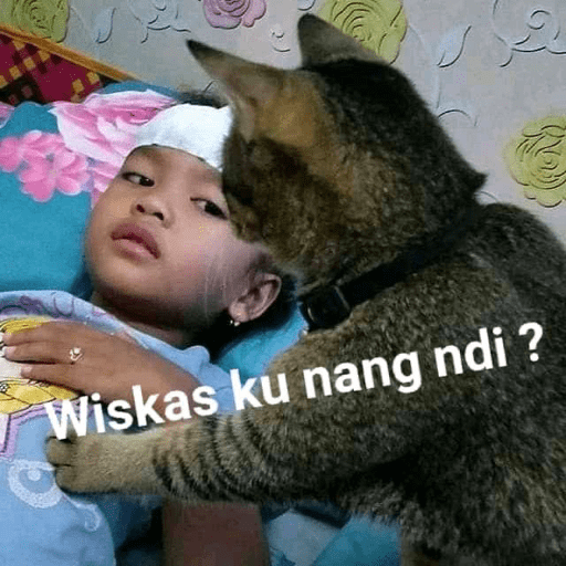 Meme anjing pt2 28