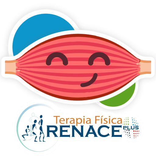 Renace E