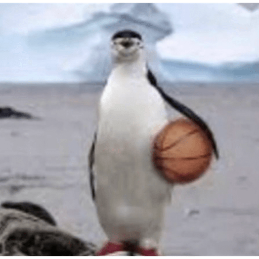 Animales 4 12