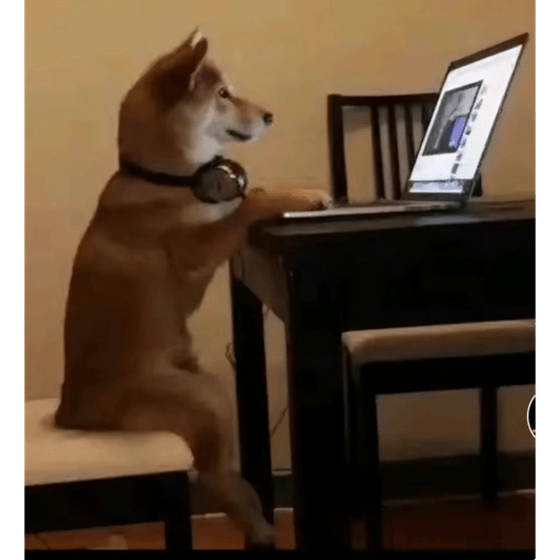 Animales 4 9