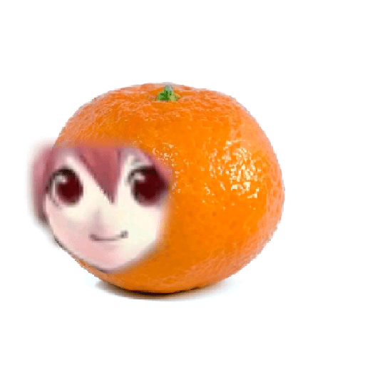 Teto fruit 17