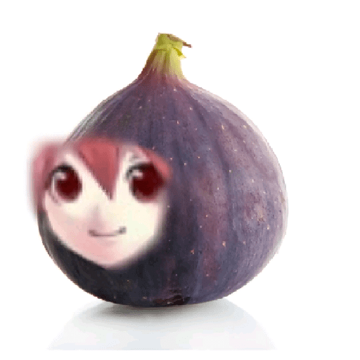 Teto fruit 16