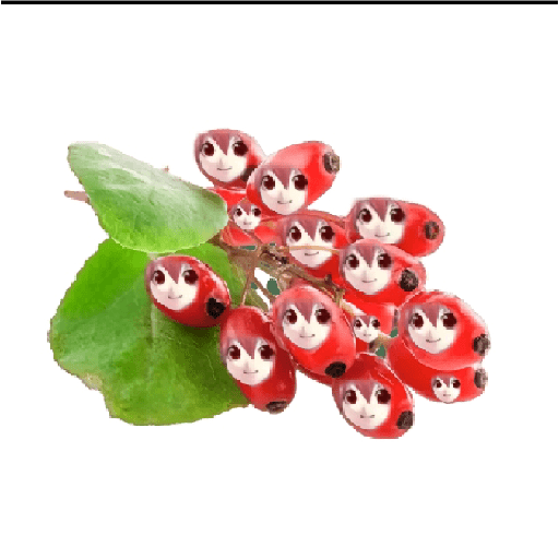 Teto fruit 2