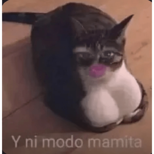 Tik tok memes  5