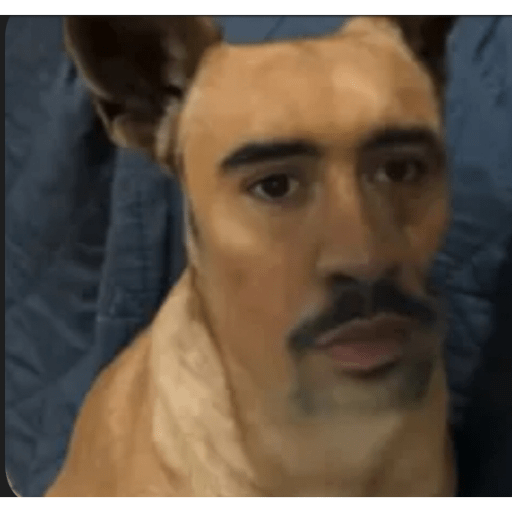 Tik tok memes  8