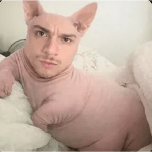 Tik tok memes  19