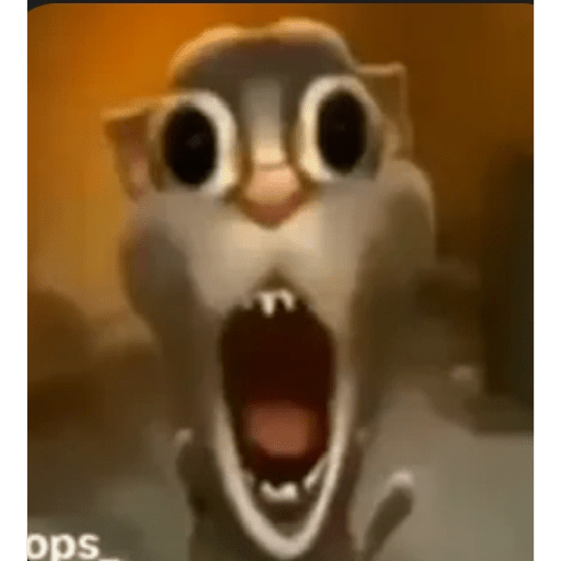 Tik tok memes  21