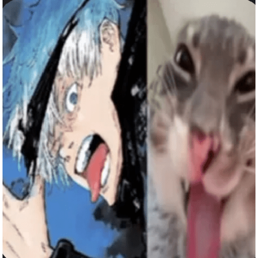 Tik tok memes  22
