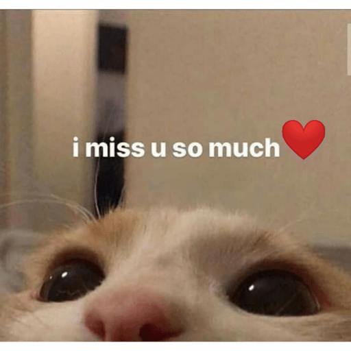 Love 28
