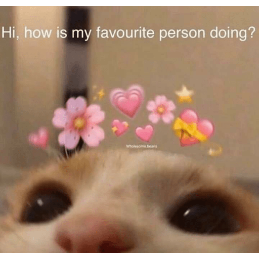 Love 20