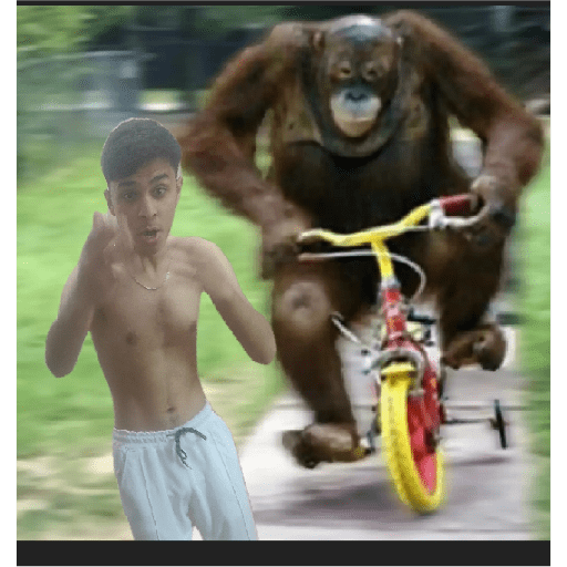 Hhoguf 10