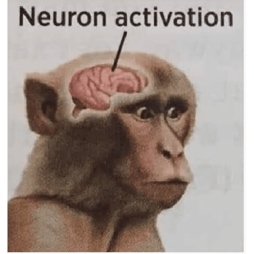 ^⁠_⁠^ 2