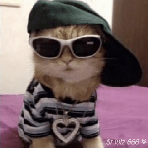 Gatos / +55 62 98446-8573 20