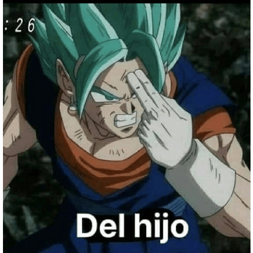 Memes de dragonball 14