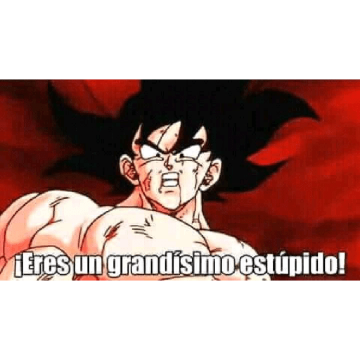Memes de dragonball 19