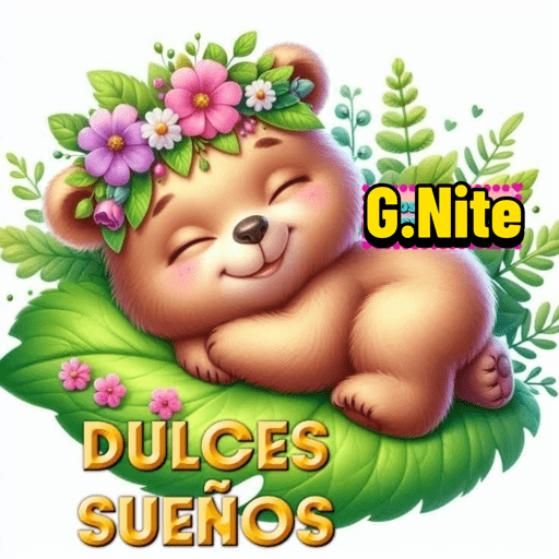 Noche 15