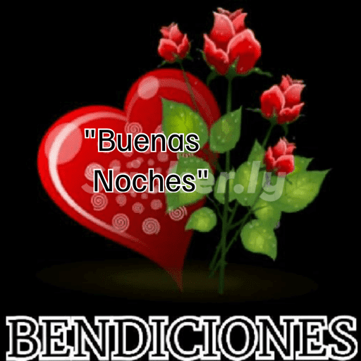 Noche 20